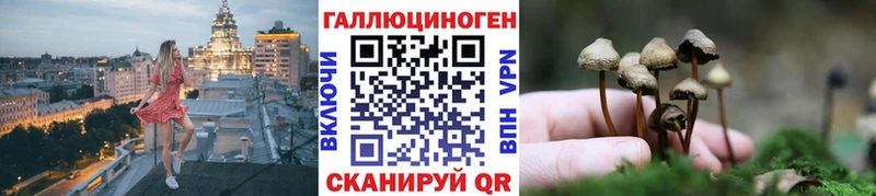 где продают Тула Галлюциногенные грибы мухоморы